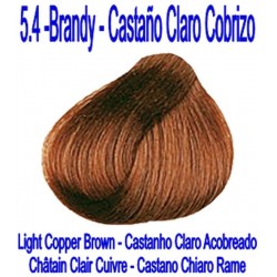 5.4 BRANDY - CASTAÑO CLARO COBRIZO
